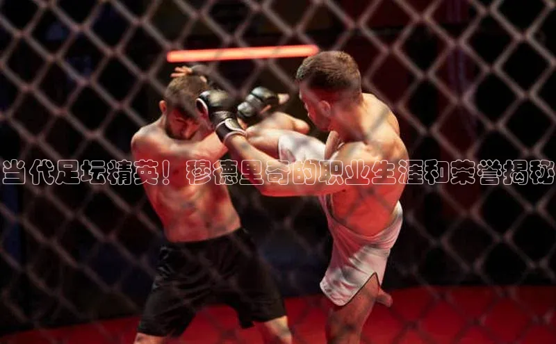 威廉希尔体育路畅科技当代足坛精英！穆德里奇的职业生涯和荣誉揭秘