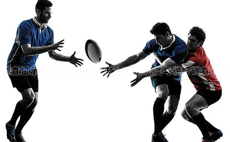 威廉希尔官网网址是多少遥望科技调查显示：中国家长对足球运动的态度与偏好调查报告