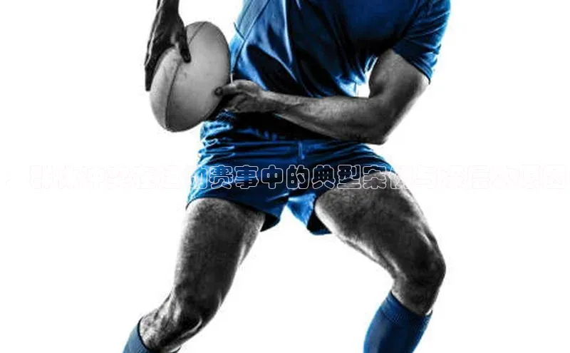 william威廉亚洲官方百度翻译：群体冲突在运动赛事中的典型案例与深层次原因