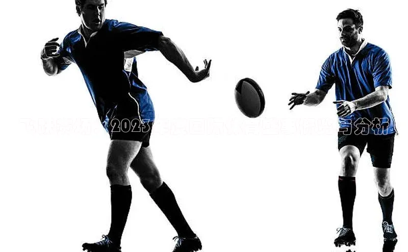 飞跃赛场：2023年度国际体育盛事概览与分析