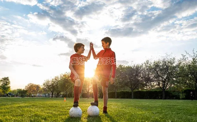 南安市运动会乒乓球盛况：精彩对决与青春风采竞相绽放