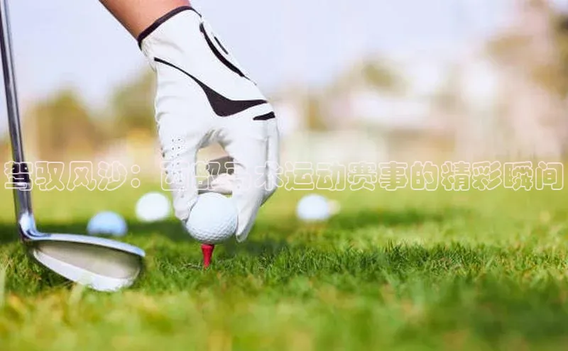 驾驭风沙：西部马术运动赛事的精彩瞬间