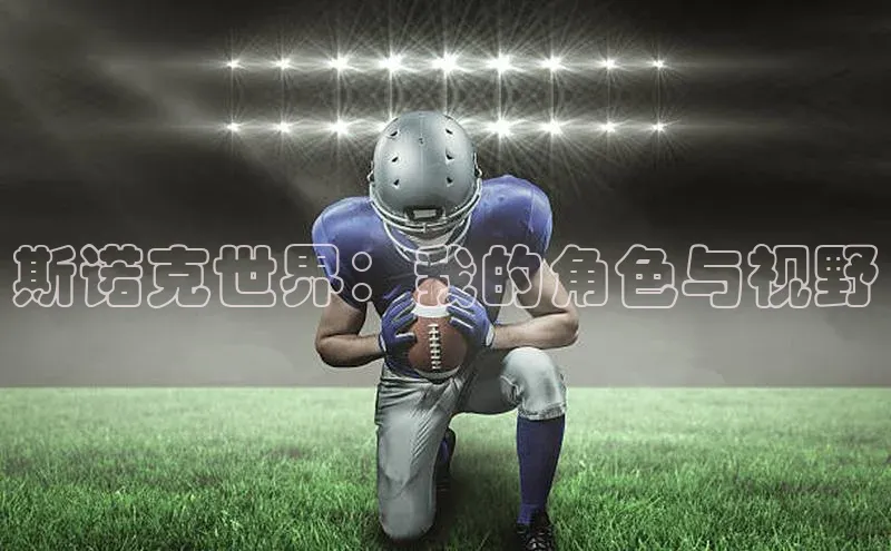 斯诺克世界：我的角色与视野