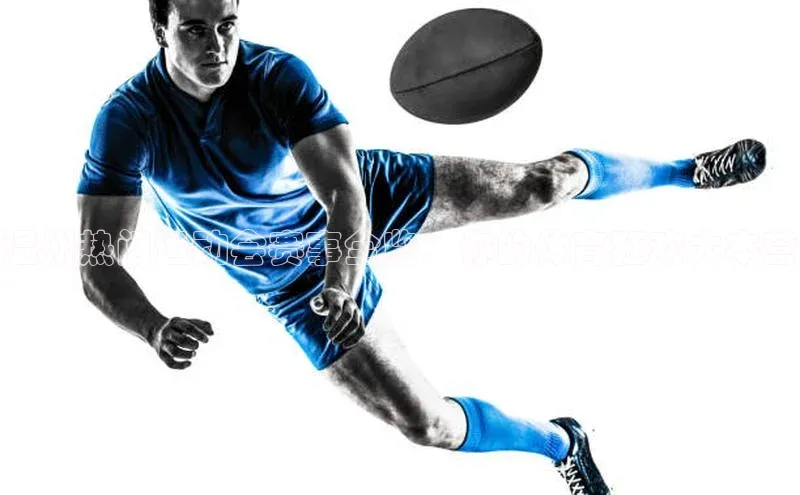 温州热门运动会赛事全览：你的体育狂欢大本营