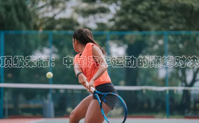 顶级荣耀：中国汽车运动的巅峰对决