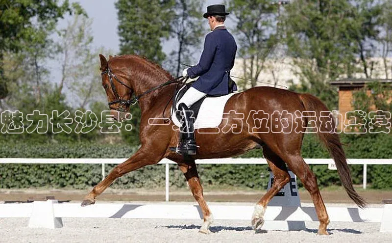 魅力长沙县：一场全方位的运动盛宴