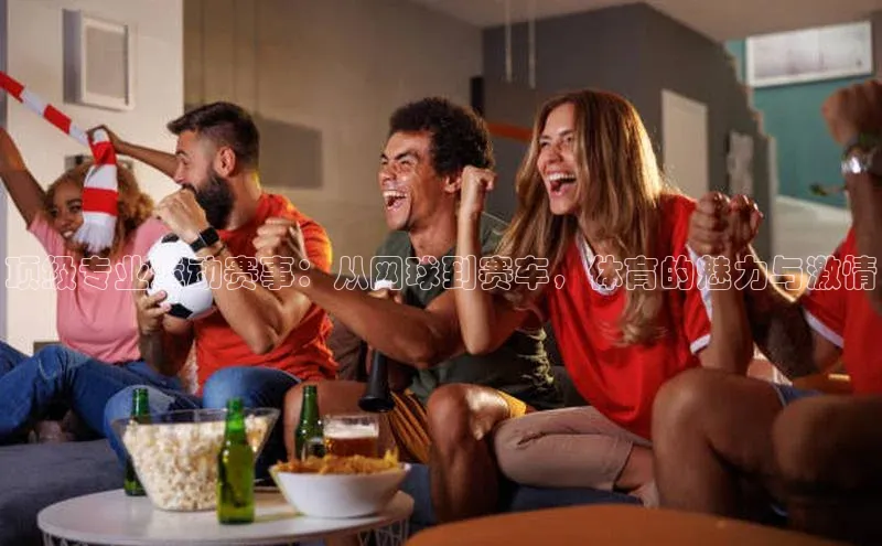 顶级专业运动赛事：从网球到赛车，体育的魅力与激情