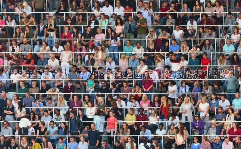 速度与激情：2023年度全国定向运动赛事概览