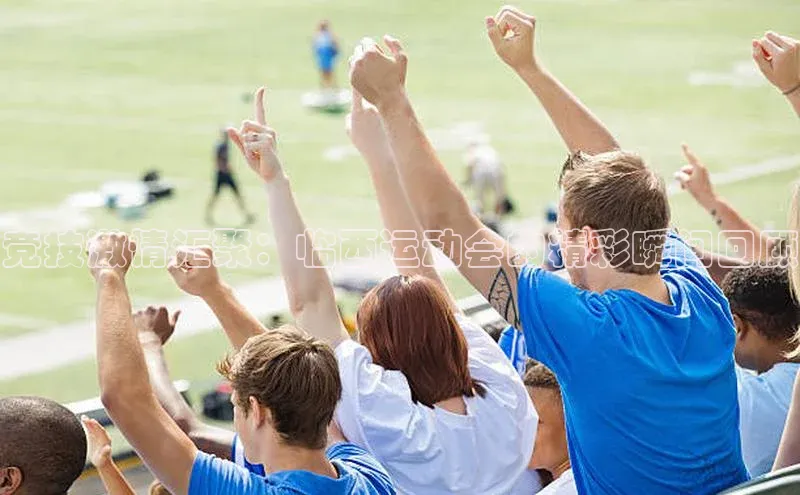 威廉williamhill官网在线登录