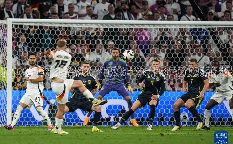 活力星球：适合孩子们观看的精彩运动赛事精选